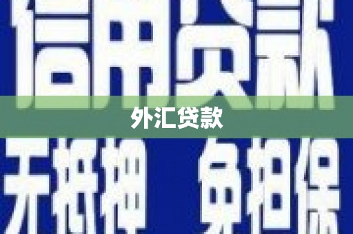 港南外汇贷款