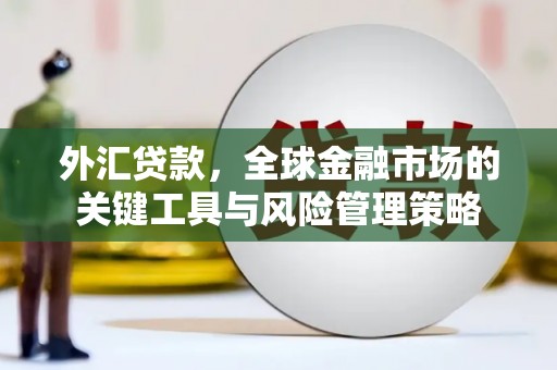 港南外汇贷款，全球金融市场的关键工具与风险管理策略
