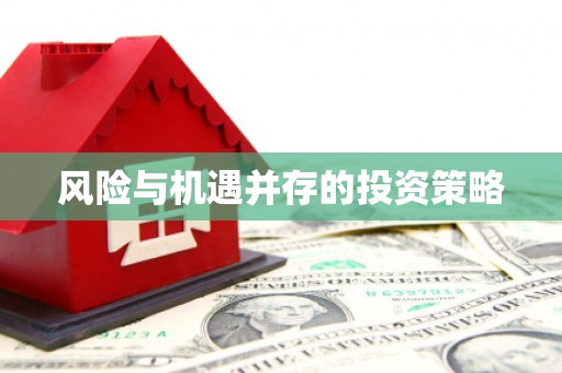 港南风险与机遇并存的投资策略