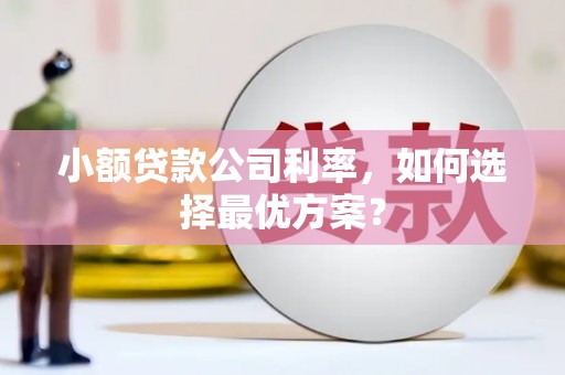 港南小额贷款公司利率，如何选择最优方案？