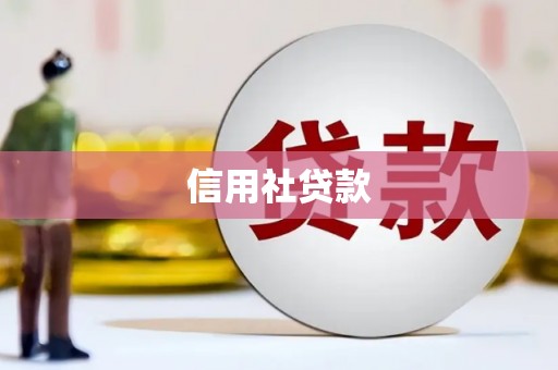港南信用社贷款