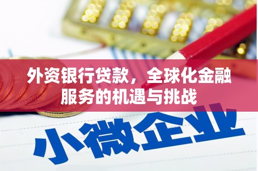 港南外资银行贷款，全球化金融服务的机遇与挑战