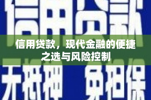 港南信用贷款，现代金融的便捷之选与风险控制