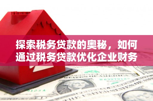 港南探索税务贷款的奥秘，如何通过税务贷款优化企业财务