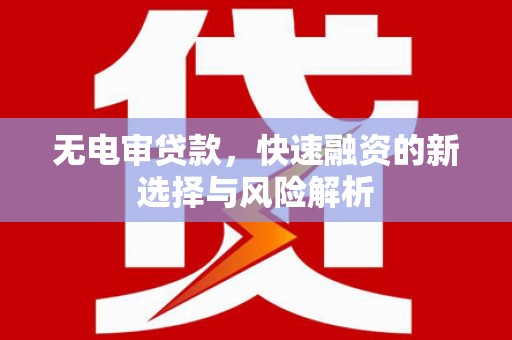 港南无电审贷款，快速融资的新选择与风险解析