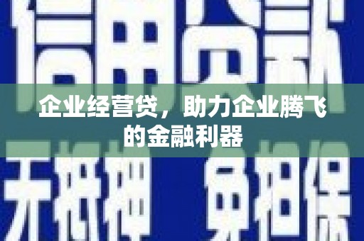 港南企业经营贷，助力企业腾飞的金融利器