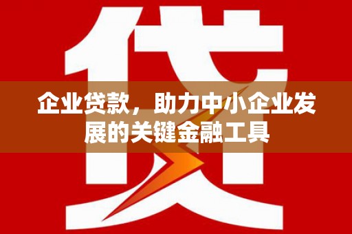 港南企业贷款，助力中小企业发展的关键金融工具