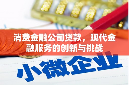 港南消费金融公司贷款，现代金融服务的创新与挑战