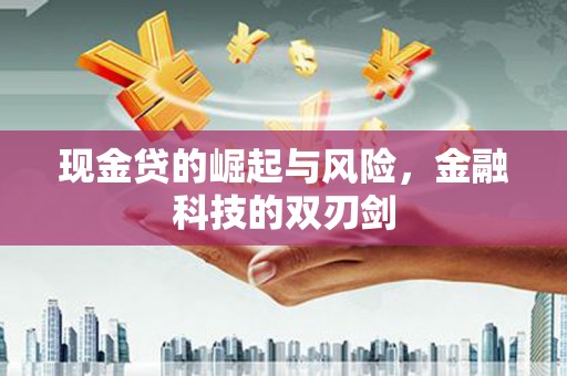 港南现金贷的崛起与风险，金融科技的双刃剑