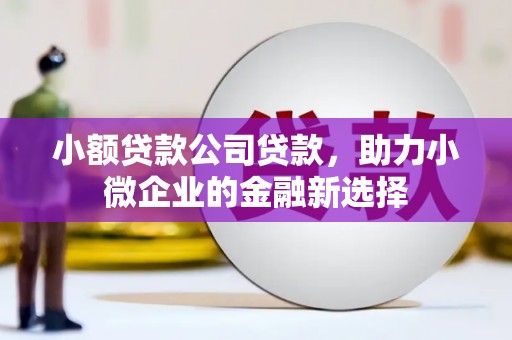 港南小额贷款公司贷款，助力小微企业的金融新选择