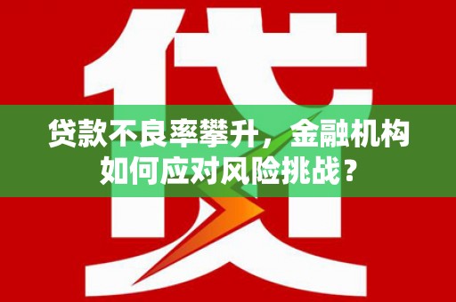 港南贷款不良率攀升，金融机构如何应对风险挑战？