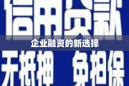 港南企业融资的新选择
