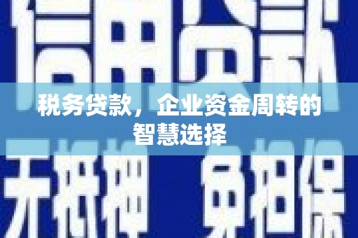 港南税务贷款，企业资金周转的智慧选择