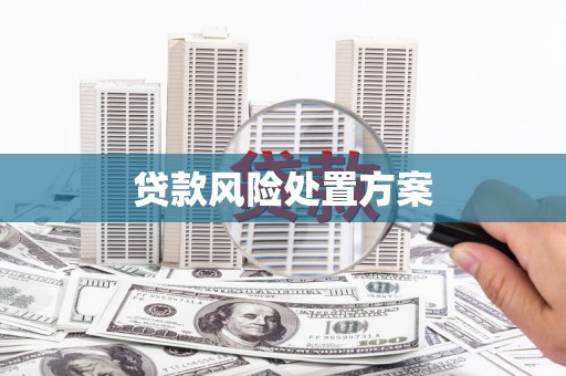 港南贷款风险处置方案