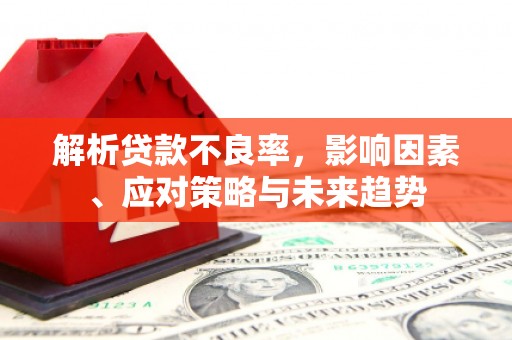 港南解析贷款不良率，影响因素、应对策略与未来趋势