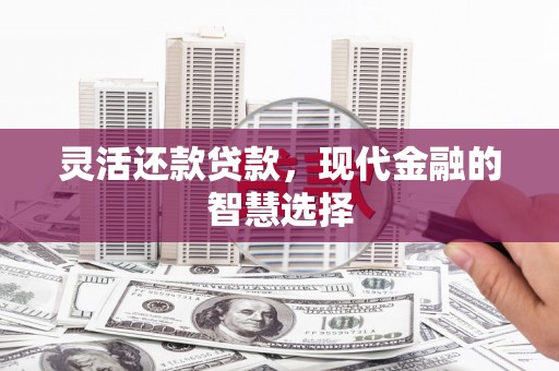 港南灵活还款贷款，现代金融的智慧选择