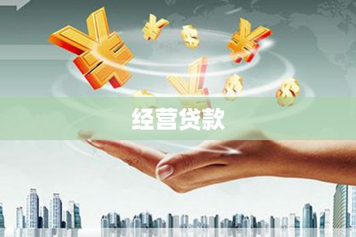 港南经营贷款