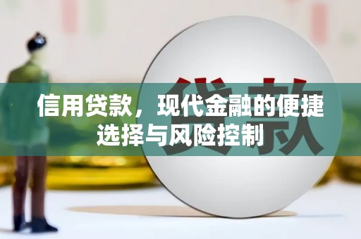 港南信用贷款，现代金融的便捷选择与风险控制