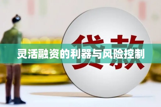 港南灵活融资的利器与风险控制