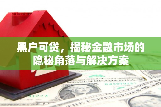 港南黑户可贷，揭秘金融市场的隐秘角落与解决方案