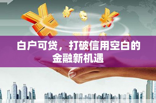 港南白户可贷，打破信用空白的金融新机遇