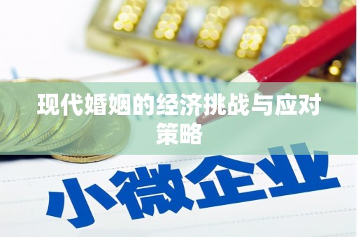 港南现代婚姻的经济挑战与应对策略