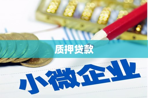 港南质押贷款