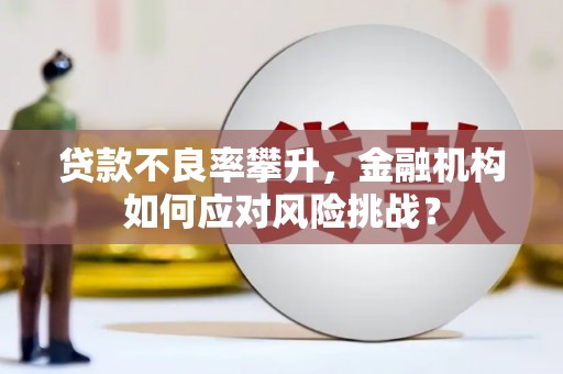 港南贷款不良率攀升，金融机构如何应对风险挑战？