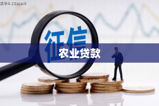 港南农业贷款