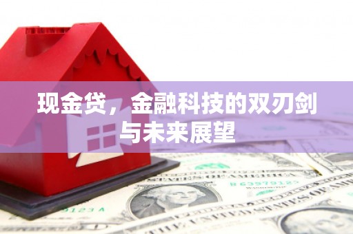港南现金贷，金融科技的双刃剑与未来展望