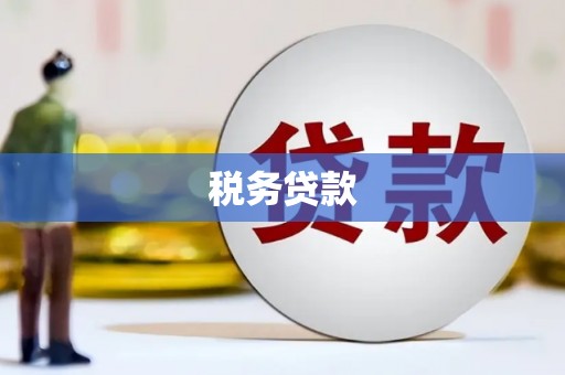 港南税务贷款