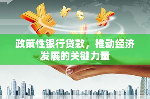 港南政策性银行贷款，推动经济发展的关键力量