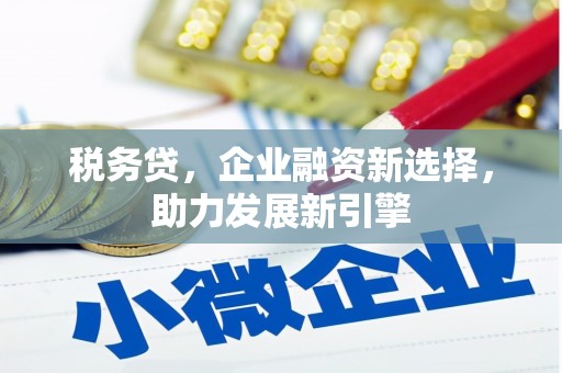 港南税务贷，企业融资新选择，助力发展新引擎