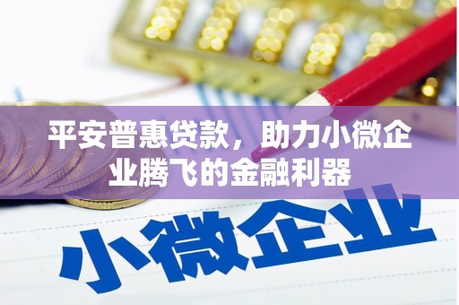 港南平安普惠贷款，助力小微企业腾飞的金融利器
