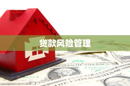 港南贷款风险管理