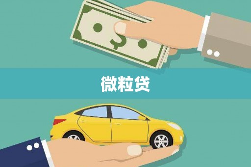 港南微粒贷