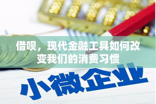 港南借呗，现代金融工具如何改变我们的消费习惯