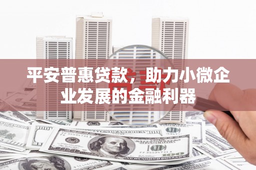 港南平安普惠贷款，助力小微企业发展的金融利器
