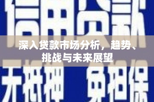 港南深入贷款市场分析，趋势、挑战与未来展望