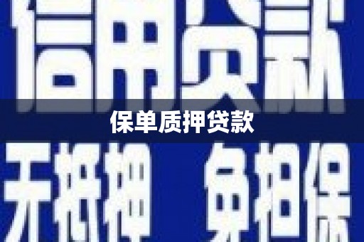 港南保单质押贷款