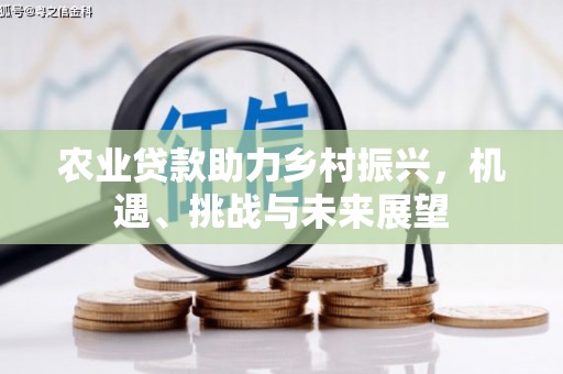 港南农业贷款助力乡村振兴，机遇、挑战与未来展望