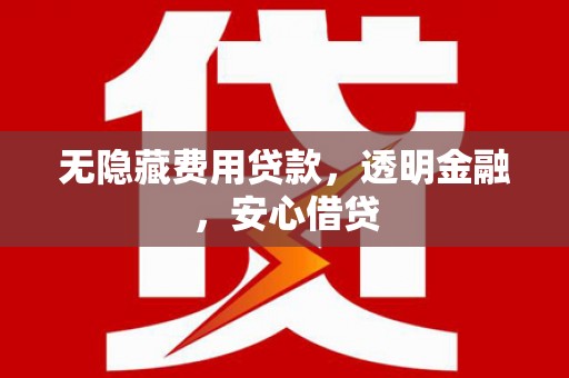 港南无隐藏费用贷款，透明金融，安心借贷
