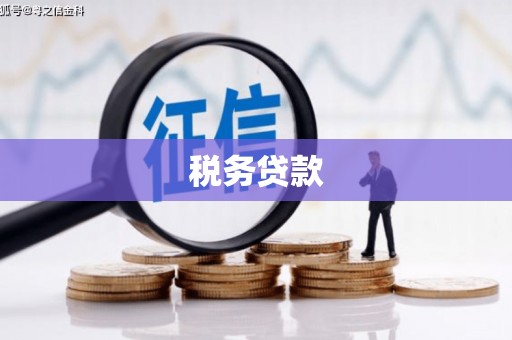 港南税务贷款