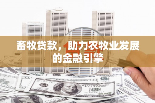 港南畜牧贷款，助力农牧业发展的金融引擎
