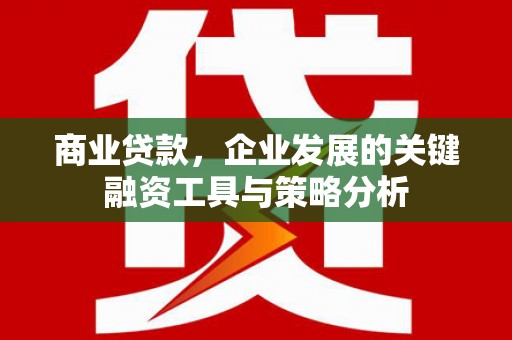 港南商业贷款，企业发展的关键融资工具与策略分析