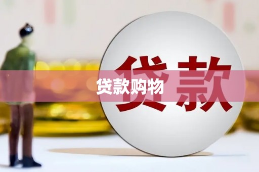 港南贷款购物