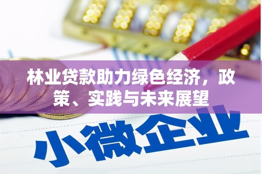 港南林业贷款助力绿色经济，政策、实践与未来展望