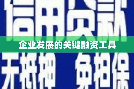港南企业发展的关键融资工具