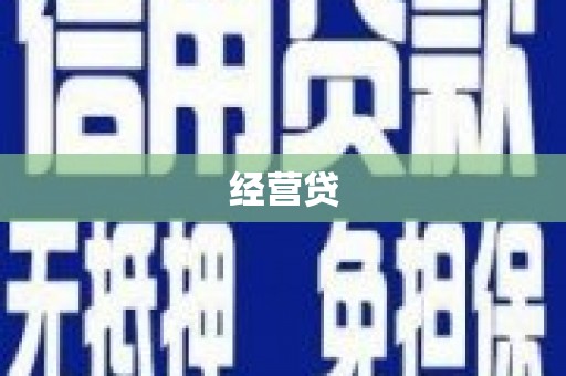 港南经营贷