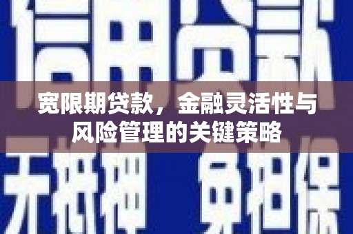 港南宽限期贷款，金融灵活性与风险管理的关键策略